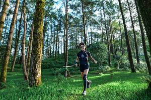 BIB: 
                            <button type="button" onclick="openModal(25020764)" class="btn btn-primary btn-sm float-right btn-popup" data-toggle="modal" data-target=".modal-high-quality">
                        <i class="fas fa-shopping-cart"></i> Add to Cart
                    </button>
                                            <button type="button" onclick="isThisMe(25020764, true)" class="btn btn-success btn-sm float-right btn-popup btn-isme hidden" data-toggle="tooltip" data-placement="bottom" title="นี่คือรูปของคุณใช่ไหม คลิกที่นี่เพื่อเอาเข้าอัลบั้ม">
                        <i class="fas fa-plus"></i> Add to album
                    </button>
                    <button type="button" onclick="isThisMe(25020764, false)" class="btn btn-warning btn-sm float-right btn-popup btn-isnotme hidden">
                        <i class="fas fa-ban"></i> Remove from album
                    </button>